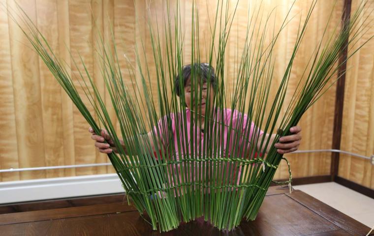 A person stands up pieces of seagrass