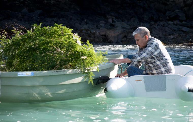 A man in a boat reaches over to another boat filled with branches.