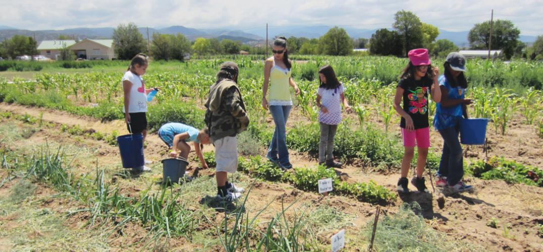 Children and instructors walk through crop fields at the Pueblo of Nambe Community Farm in New Mexico