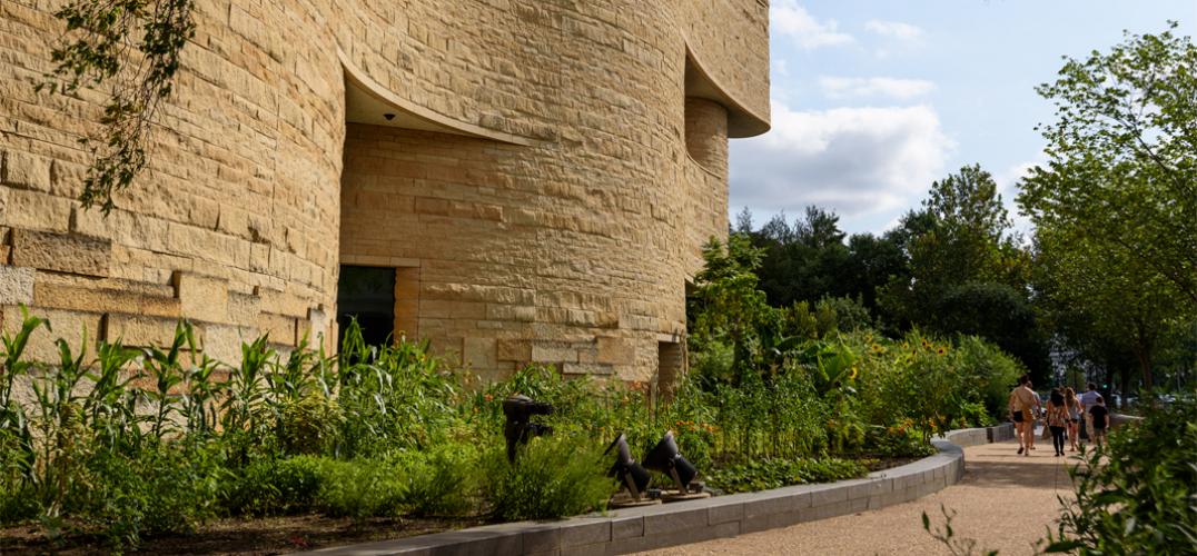 The National Museum of the American Indian's garden in bloom in Washington, D.C.
