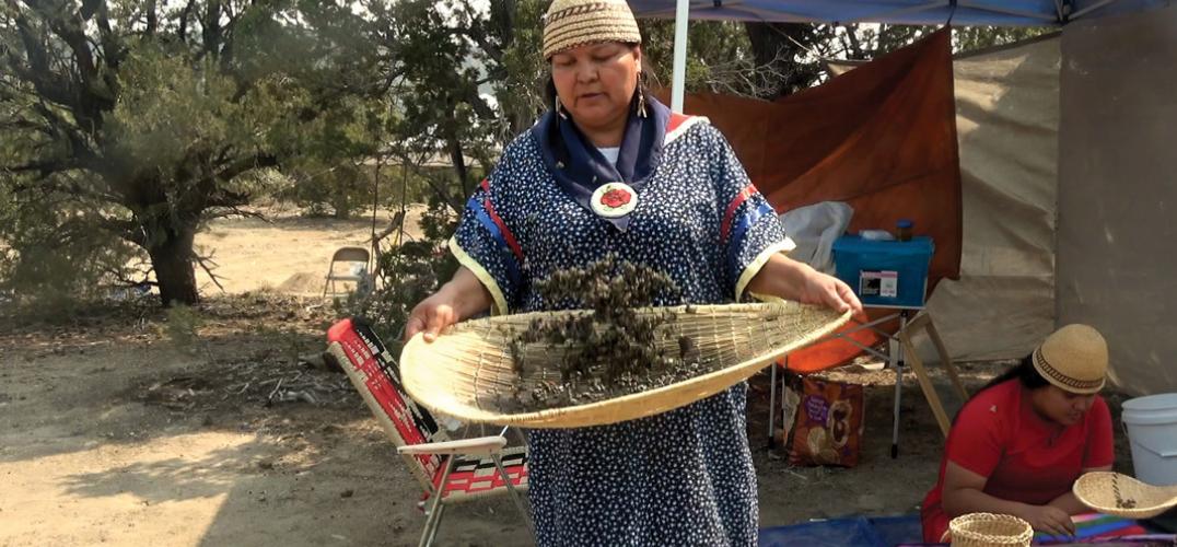 Melanie Smokey tosses pinon nuts in a woven basket