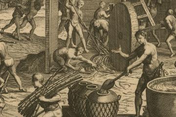 Enslaved Natives and Africans