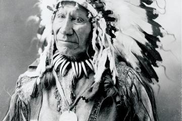 Chief American Horse