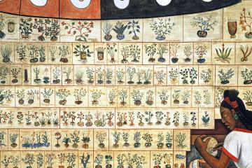 The History of Medicine in Mexico: The People’s Demand for Better Health