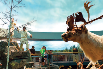 pubLife in a Cold Climate Exhibit: The Caribou Hunt Diorama at the Mashantucket Pequot Tribal Museum.