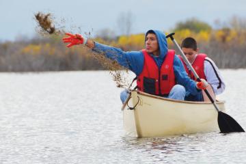 Wild rice tossed from canoe