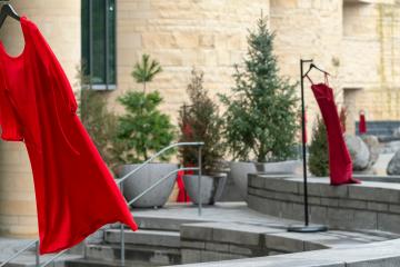 REDress Project street display