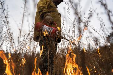 Danny Manning uses a drip torch to direct streams of flame to ignite a meadow