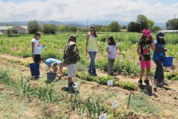 Children and instructors walk through crop fields at the Pueblo of Nambe Community Farm in New Mexico