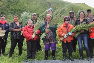 A group of Aleut descendants of Attu Island inhabitants hold bunches of grass they picked during their reunion on the island. 