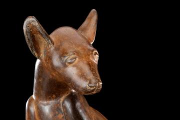 A small brown xolo dog figurine, brightly lit against a black background.
