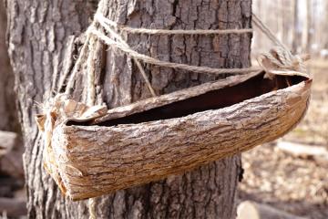 A wooden basket is tied to a tree under a spout driven into a tree 