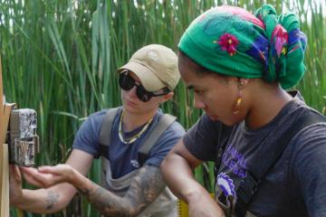 Two people collecting data from a trail camera surrounded by tall wetland grasses