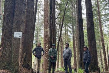 Tribal leaders and Charles Sams stand among trees in Redwood National Park.