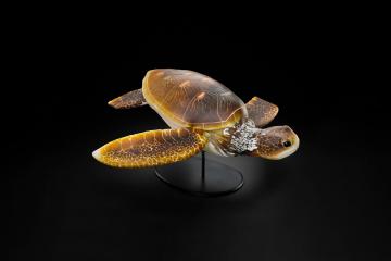 Glass Sculpture of a Turtle