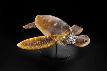 Glass Sculpture of a Turtle